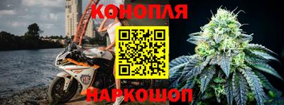 крисы Майкоп