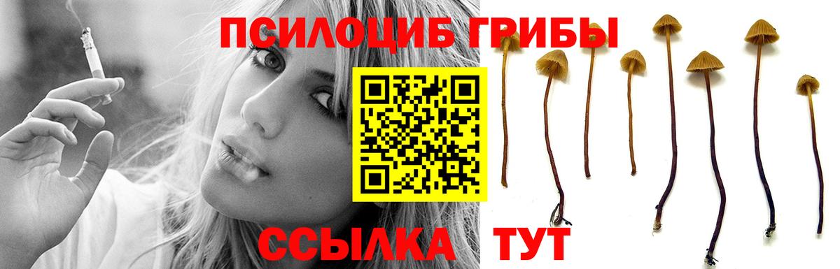 Псилоцибиновые грибы Cubensis  Псилоцибиновые грибы Psilocybine cubensis  Вход с VPN  Великий Устюг 