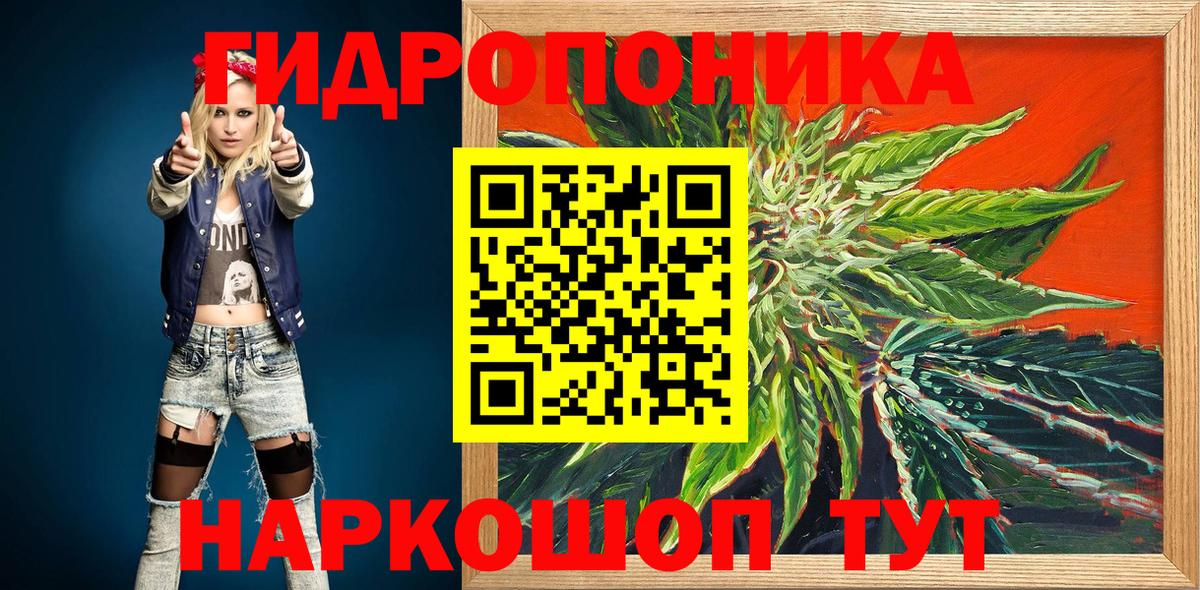 Бошки марихуана ГИДРОПОН  Бошки марихуана Ganja  Каннабис Bruce Banner  Великий Устюг  Вход с VPN  Бошки марихуана SATIVA & INDICA 
